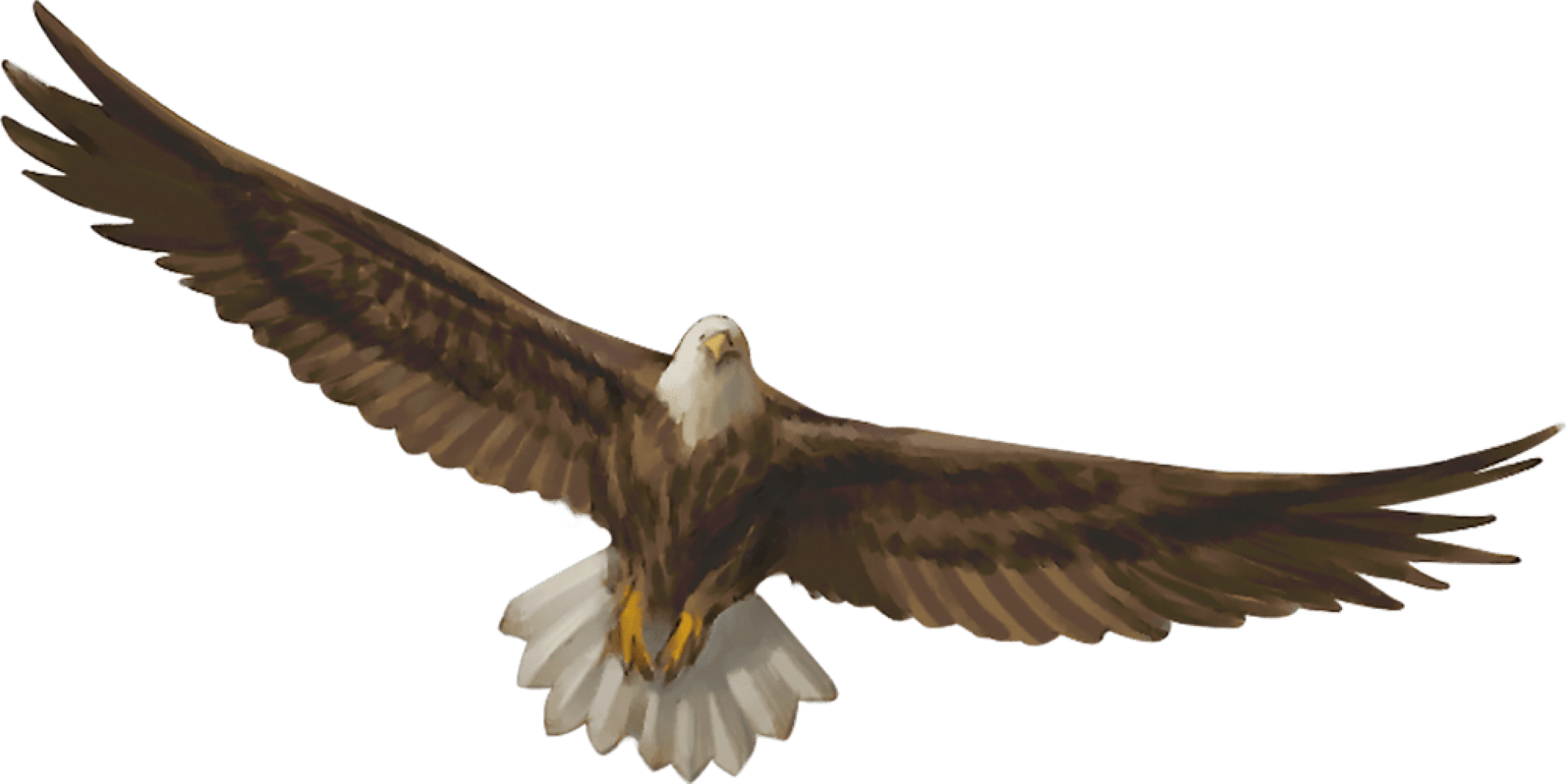 eagle